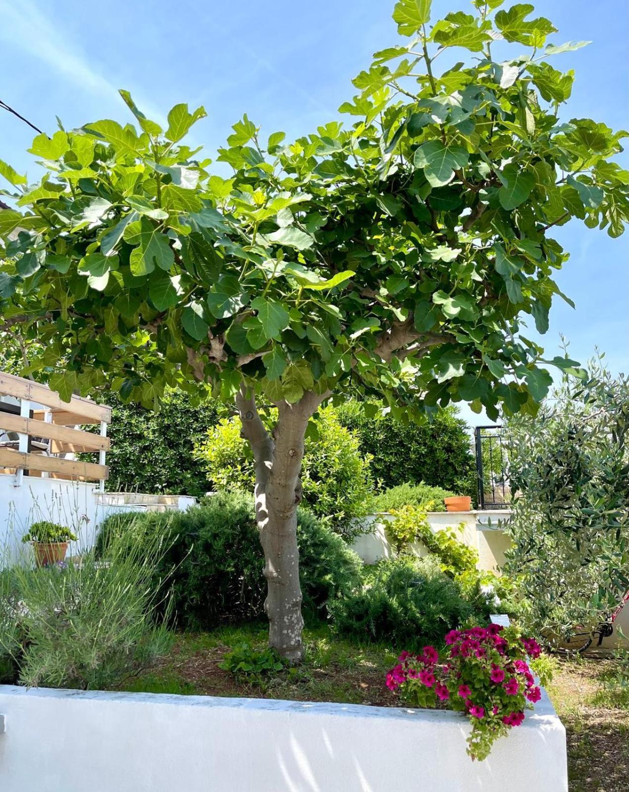 Villa Bua - Beautiful Seafront Apartments Trogir Luaran gambar